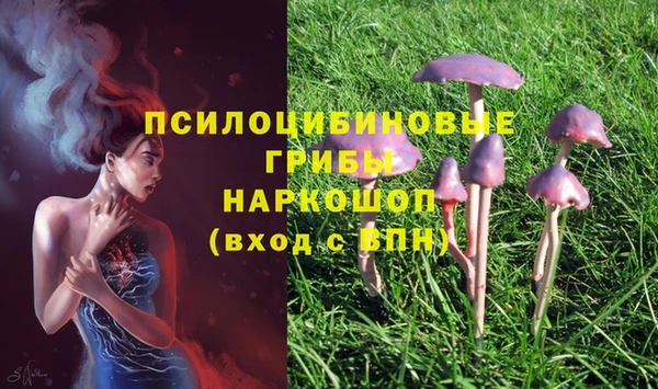 круглые Гусь-Хрустальный