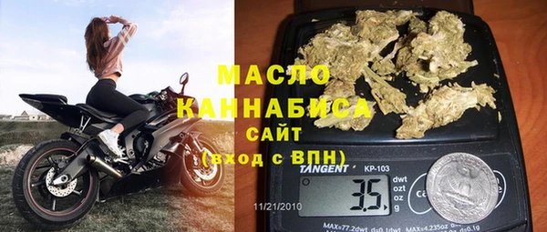 гидра Горно-Алтайск