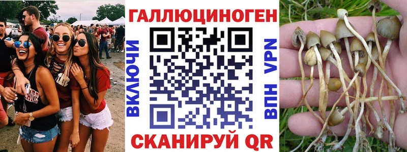 Купить закладки  Надым  Галлюциногенные грибы мухоморы 